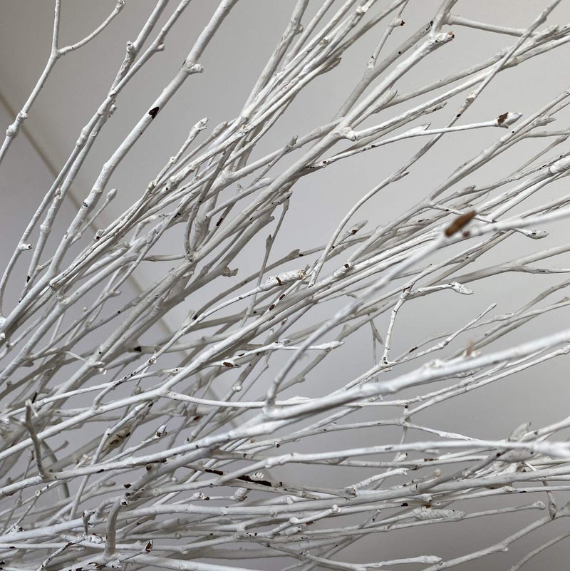 DongArts Decorative Birch Branches Decoration, 23 Inch Birch Stems for Wedding Decor,Dried Twigs for Christmas Decor (White) - Image 4